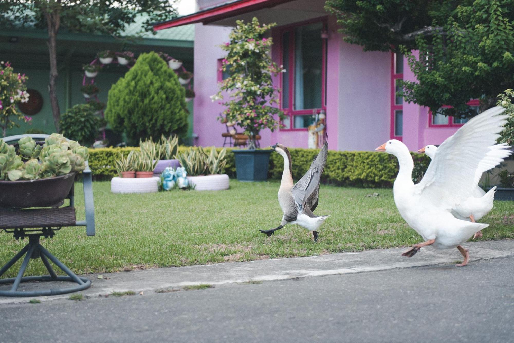 Xinfu Traveler Inn Taiping  Ngoại thất bức ảnh
