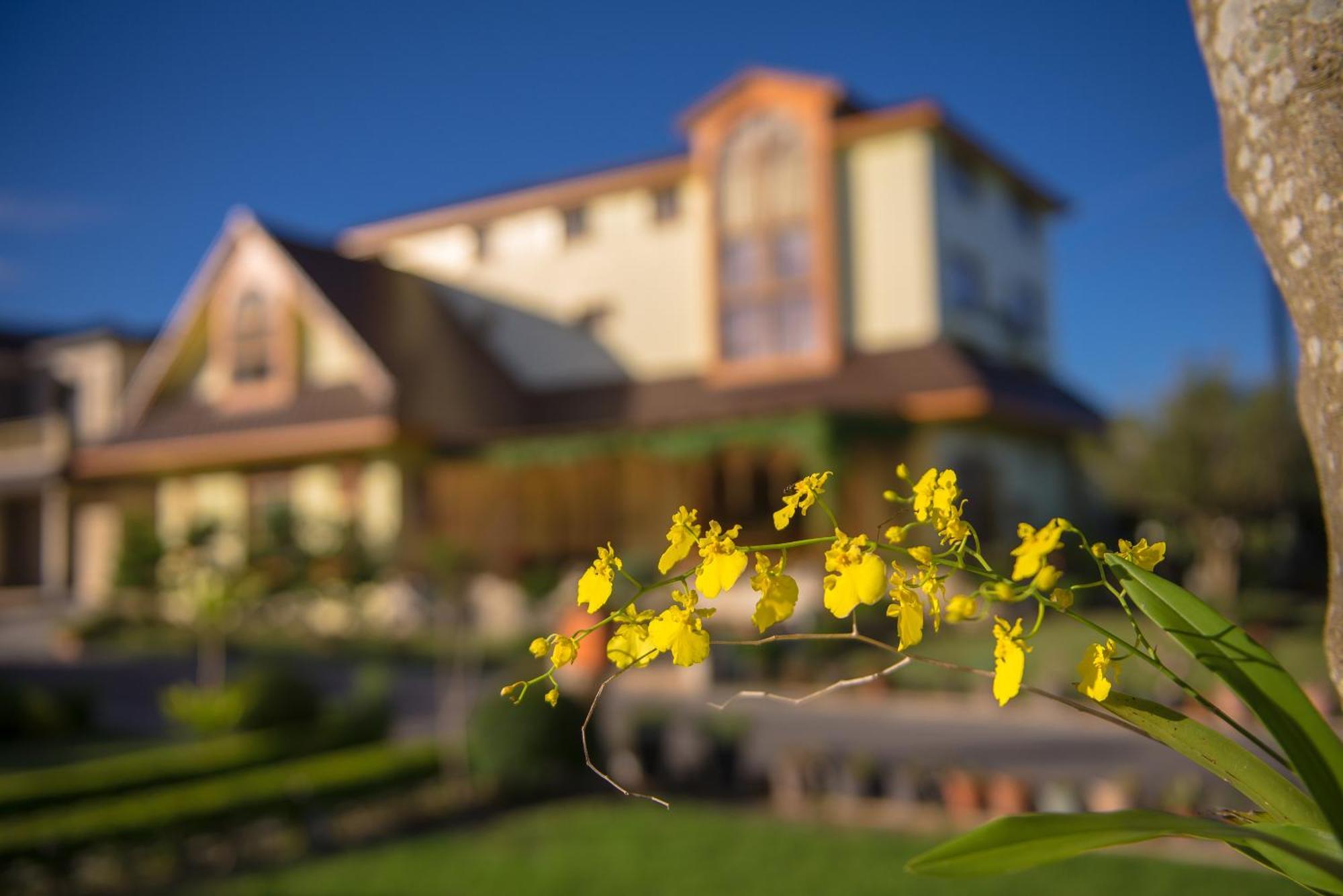 Xinfu Traveler Inn Taiping  Ngoại thất bức ảnh