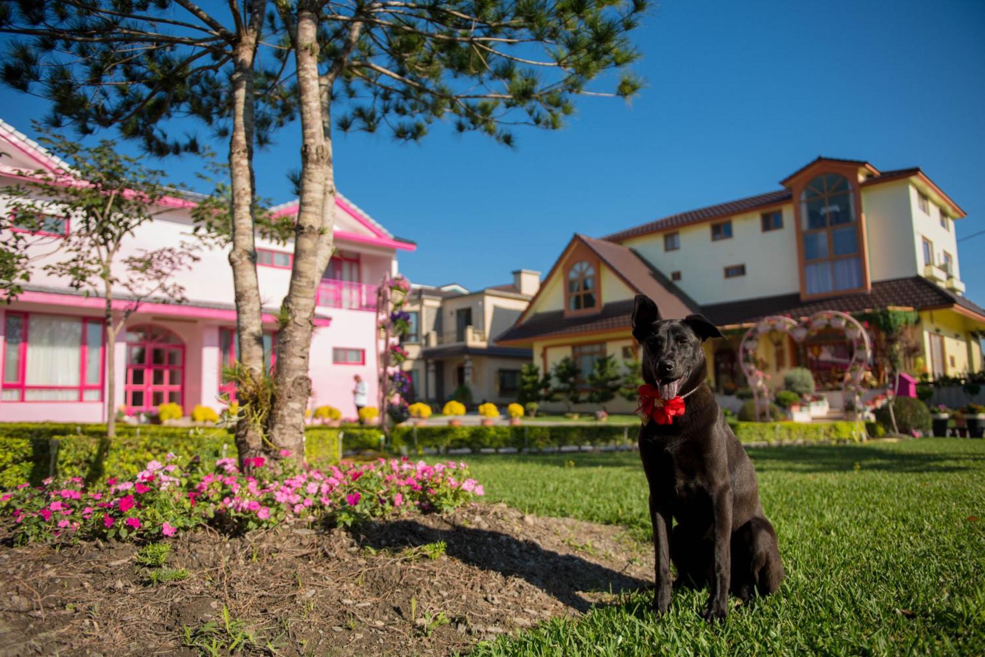 Xinfu Traveler Inn Taiping  Ngoại thất bức ảnh